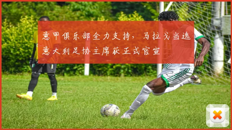 意甲俱乐部全力支持，马拉戈当选意大利足协主席获正式官宣